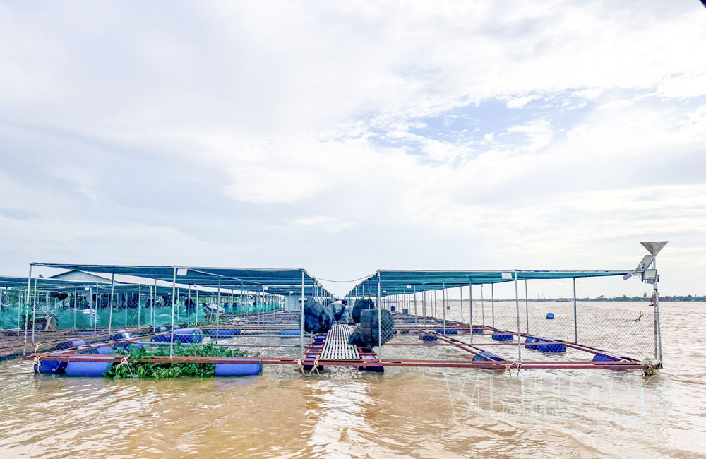 Ngành nông nghiệp tập trung phát triển thủy sản nước ngọt an toàn, bền vững.