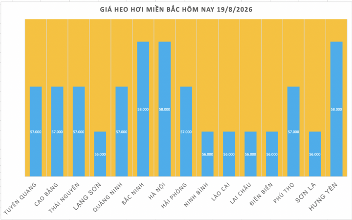 Giá heo hơi hôm nay 19/8/2026: Đảo chiều, tăng 1.000 đồng/kg  - 1