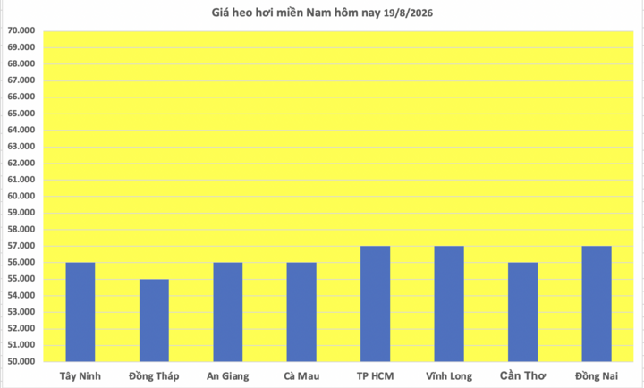 Giá heo hơi hôm nay 19/8/2026: Đảo chiều, tăng 1.000 đồng/kg  - 3