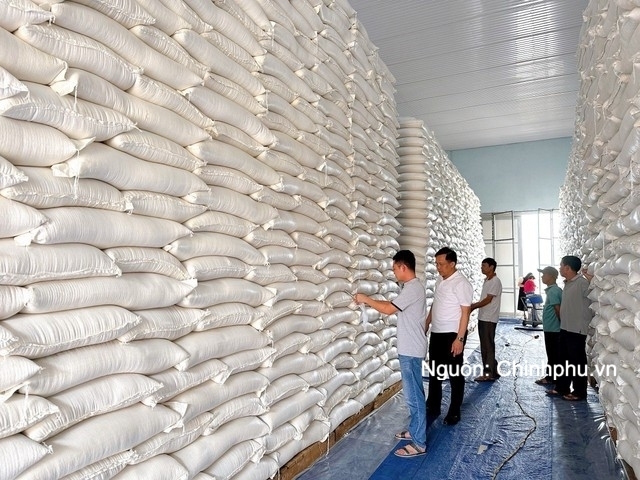 Nhiều quy định mới về nhập, xuất hàng dự trữ quốc gia.