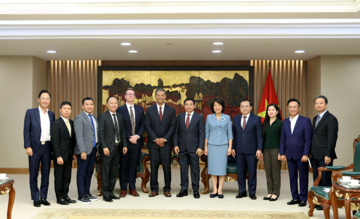 Phó Thủ tướng Nguyễn Văn Thắng tiếp ông Linh Austin, Chủ tịch kiêm Giám đốc điều hành của Công ty R3 Lithium - Ảnh chinhphu.vn/Đức Tuân