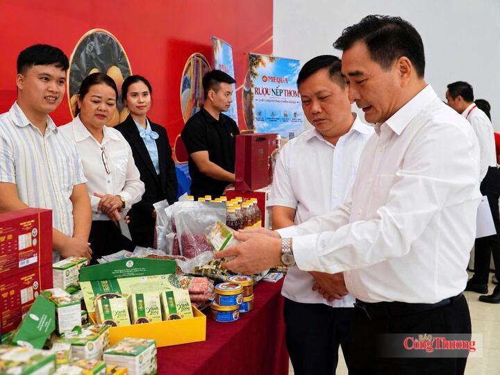 Tuyên Quang: Kết nối sản phẩm OCOP với hệ thống siêu thị GO! - 4