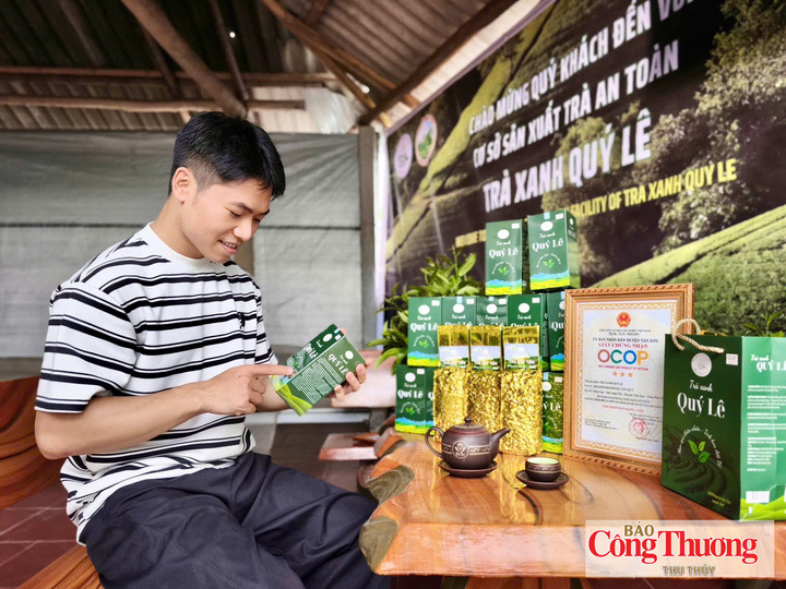 Trà xanh Quý Lê - sản phẩm OCOP 3 sao hấp dẫn người tiêu dùng.