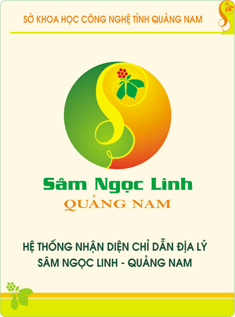 dan tem chong gia cho sam ngoc linh cua viet nam tot nhat the gioi hinh anh 2