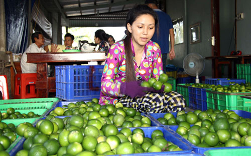 xay dung chuoi gia tri nn ben vung: can “be phong” tu co che, chinh sach hinh anh 1