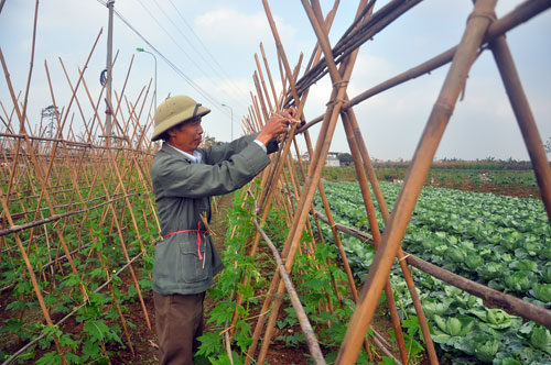 vu dong “1 ty do” -  thuc hay mo? hinh anh 1