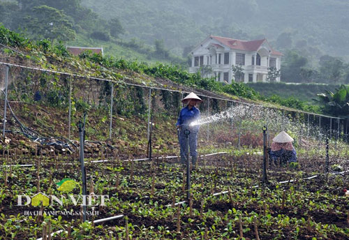 “no ro” xu huong san xuat thuc pham sach hinh anh 1