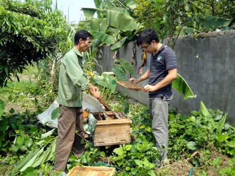 Mật ong Tiên Yên.