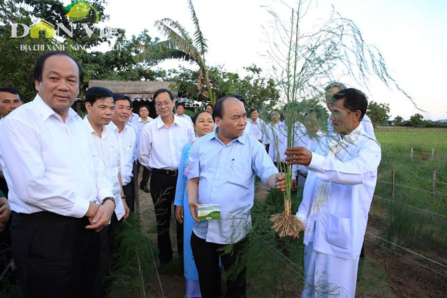 vuon mang tay duoc thu tuong ghe tham co gi dac biet? hinh anh 1